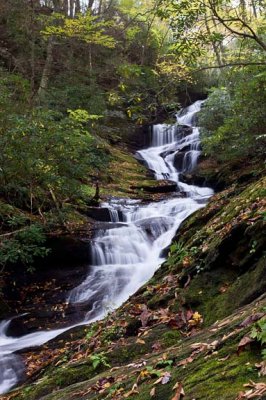 Roaring Fork Falls 3