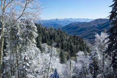 Newfound Gap Snow - Great Smoky Mountain National Park