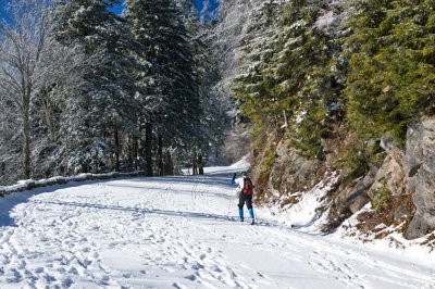 Clingmans Dome Rd Snow 4