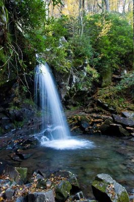 Grotto Falls 3