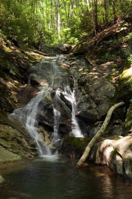 waterfall on Shuck Ridge Creek