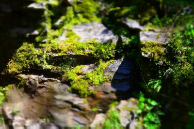 DSC_0016.jpg