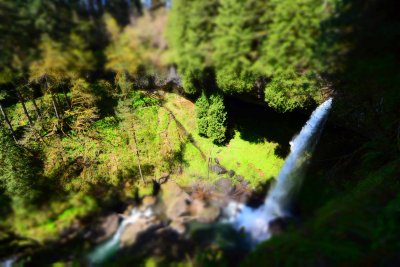 DSC_0029.jpg