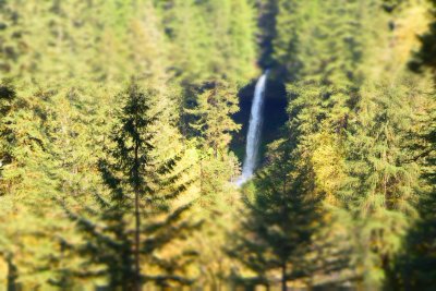 DSC_0054.jpg