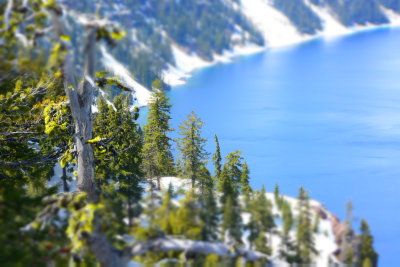 DSC_0145.JPG
