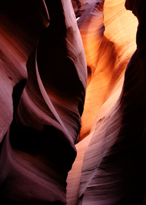 C12_4950a.jpg