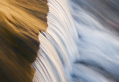 C12_7311c.jpg