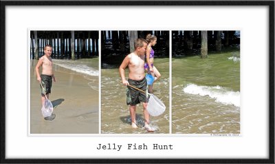 Jelly Fish 1 Frame