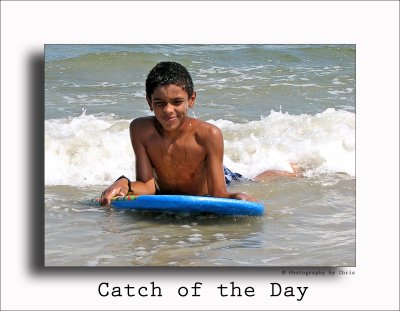 Catch Of The Day