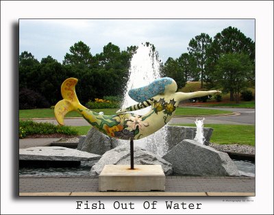 Fish Out Of Water