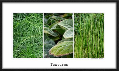 Textures