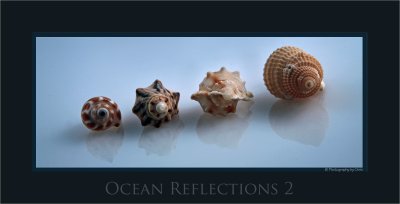 Ocean-Reflections