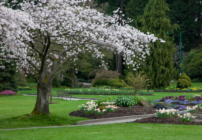 20130409_Stanley Park_0087.jpg