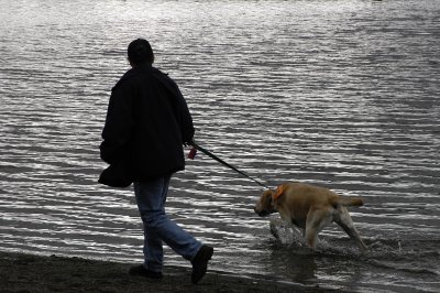 silver lake Washington.jpg