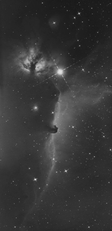Flame and Horsehead 3 Panel Mosaic.jpg