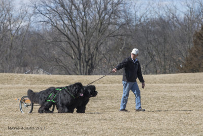 Murph-Nels-26.jpg