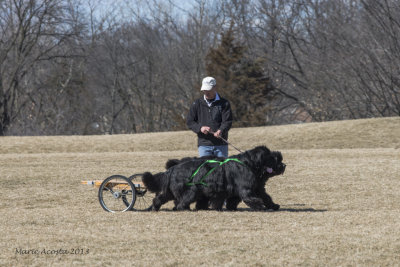 Murph-Nels-27.jpg
