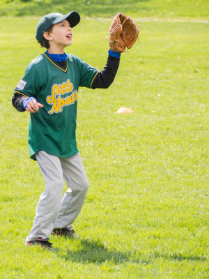 little_league_opening_day_2013