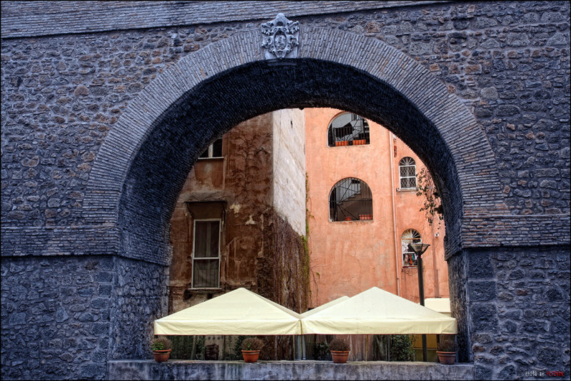 IMG_7526.jpg