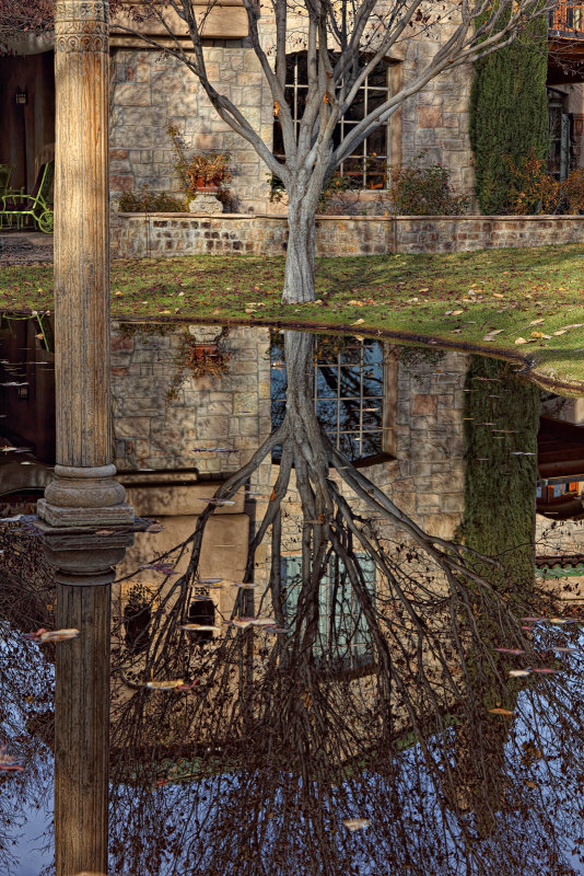 Casa Rondena Winery, New Mexico