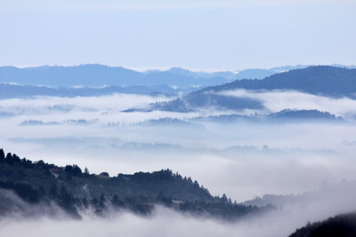 Early Morning Fog - From Alpicella Vineyard - Sonoma County, California