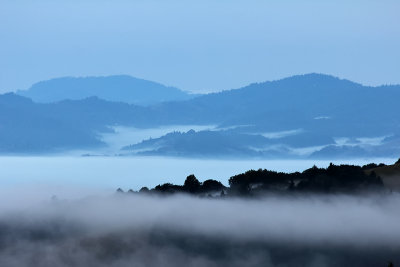 Early Morning Fog - Sonoma County, California