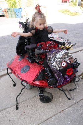 The Lady Bug Rider