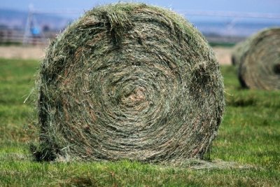 Hay bale in eastern Oregon