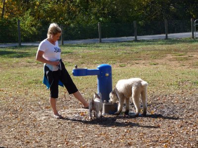 dogpark 010 (Copy).JPG