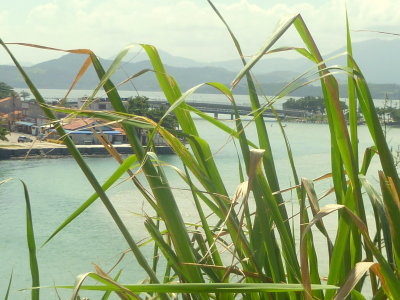 BLICK AUF DIE LAGOA VON SAQUAREMA  P1060652.JPG