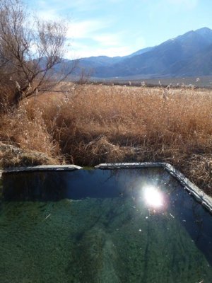 Saline Spring 