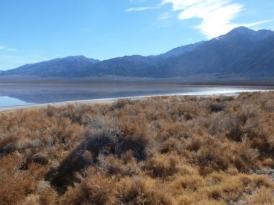 Saline Lake