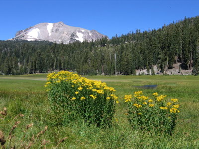 Lassen from the South