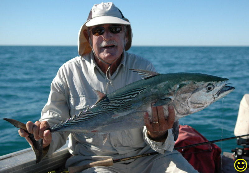 Mackerel Tuna