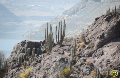 Puclaro Reservoir surroundings. Thu21.