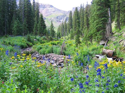 Owl Creek Trip 06