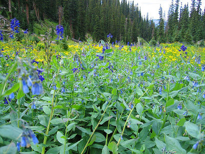 Owl Creek Trip 06