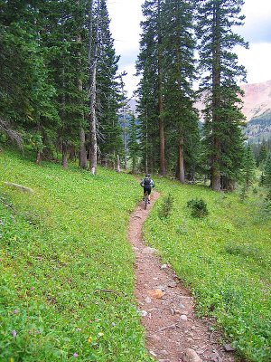 Colorado Trail Trip 06