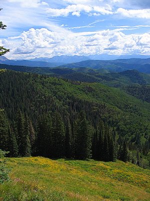 Colorado Trail Trip 06