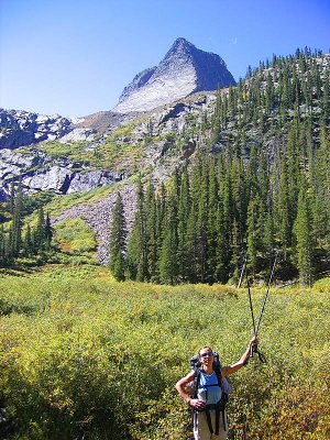 Vestal Peak Climb