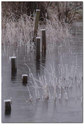 Frozen posts
