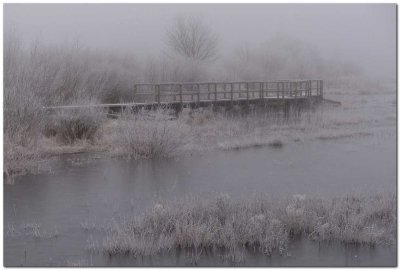 Misty walkway