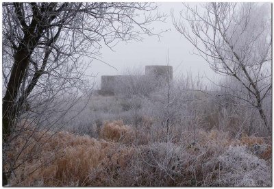 Castle in the fog