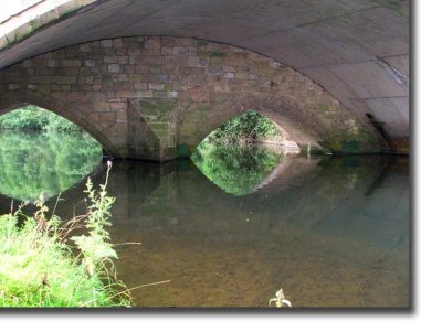 Hanging Bridge 016