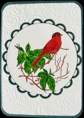 Songbird Christmas Card