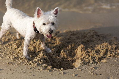 IMG_1046_DxO.jpg