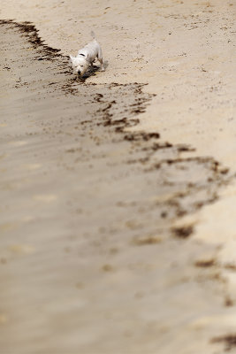 IMG_1098_DxO.jpg