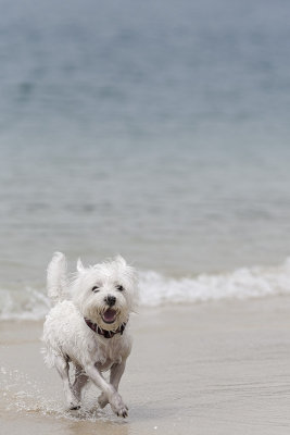 IMG_2403_DxO.jpg