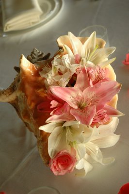 Conch Shell Centerpiece - Photo by Cecilia Dumas