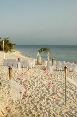 With white covered chairs with cream sashes, petals lining the aisle and the bamboo/palm arch. Photo by Cecilia Dumas